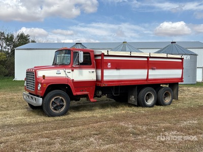 1981 Ford 800 6x2 Grain Truck
