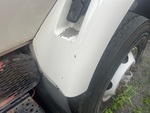 General Appearance with Paint