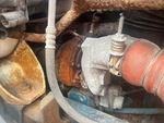 Engine with Exhaust System