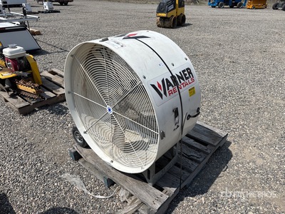 42 in Fan