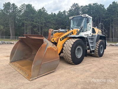 2019 Liebherr L576XP Pala gommata