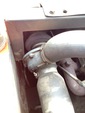 Engine with Exhaust System