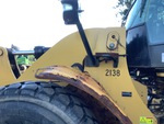 General Appearance with Paint
