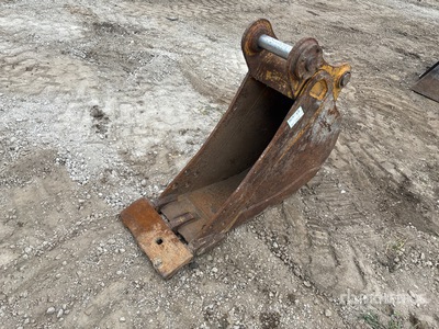 Cat 15 in Digging Excavator Bucket