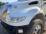 General Appearance with Paint