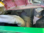 Engine with Exhaust System