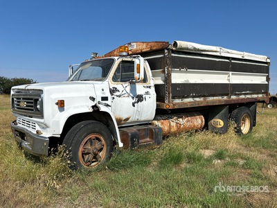 Chevrolet Scottsdale 4x2 Grain Truck (Inoperable)