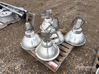 Quantity of (5) Luminaires