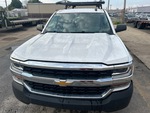 General Appearance with Paint