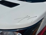 General Appearance with Paint