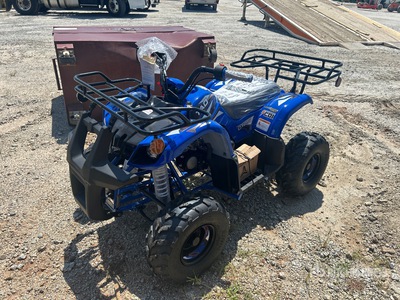 2026 TAO MOTOR  D125 4x2 مركبة (Unused)