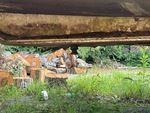 Châssis with Condition de la flèche/de l'attelage