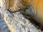 Undercarriage with Pivot Shafts