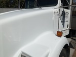 General Appearance with Paint