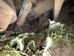 Trailer Chassis with 