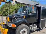 General Appearance with Paint