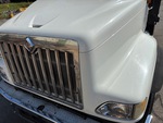 General Appearance with Paint