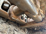 Undercarriage with 