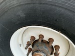 Chassis with Tire Size