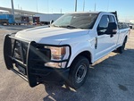 General Appearance with Paint