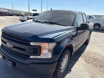 General Appearance with Paint