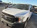 General Appearance with Paint