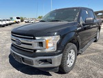 General Appearance with Paint