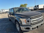 General Appearance with Paint