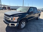 General Appearance with Paint