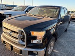 General Appearance with Paint