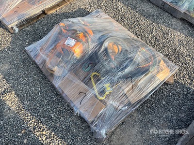 Ingersoll Rand SP20058 Electric 1/2 ton Material Hoist