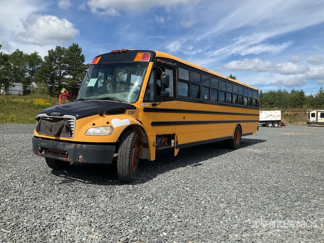 Buses