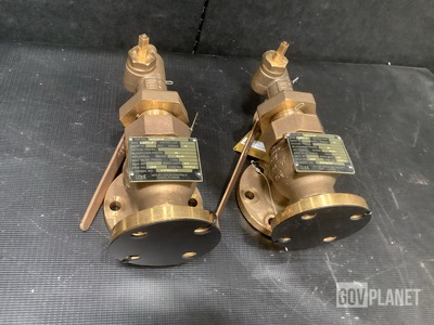 (2) Leslie Controls YB2385FG684 Relief Valves