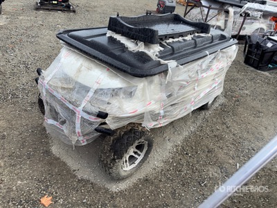 2026 Electric Golf Cart (Unused)