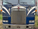 General Appearance with Paint