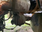 Underbody with Power Take Off