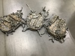 General Appearance #3