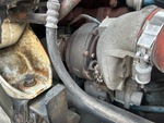 Engine with Exhaust System