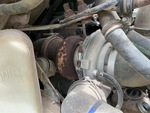 Engine with Exhaust System