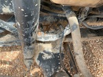 Underbody with Suspension Bushings