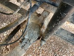 Underbody with