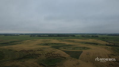 Whitewood, SK NE 13-15-4-W2 159.11 +/- Acres on Title Farmland