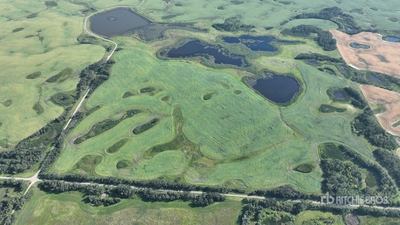 Whitewood, SK NE 7-15-3-W2 161.37 +/- Acres on Title Farmland