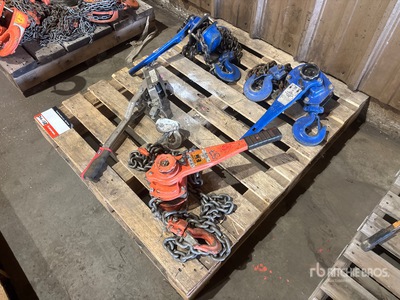 Quantity of (4) Chain Hoists Gréement