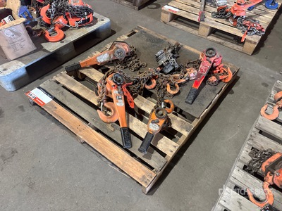 Quantity of (5) Chain Hoists Gréement