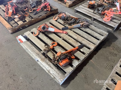 Quantity of (4) Chain Hoists Gréement