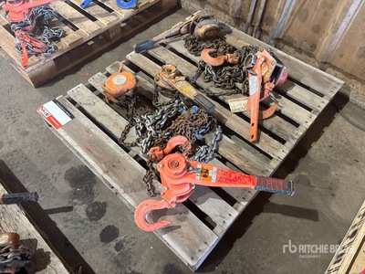 Quantity of (5) Chain Hoists Gréement