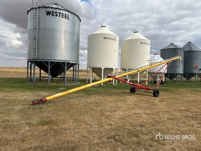2006 Westfield TF 80-51 8 in x 51 ft Grain Auger