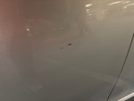 General Appearance with Paint