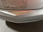 General Appearance with Paint